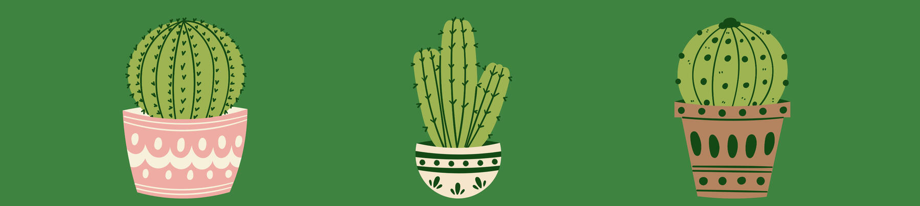 Three potted cacti illustrations.